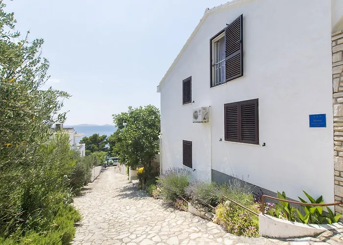Apartment Branka